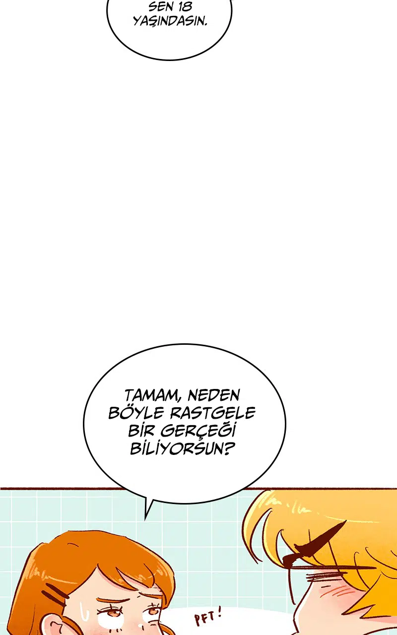 Kalbimi Bahse Koydum - Bölüm 116 Sayfa 26