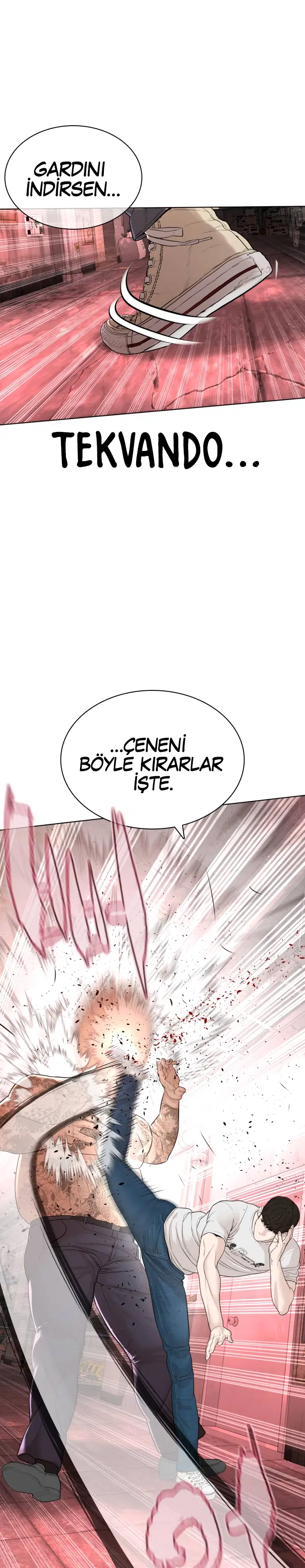 Nasıl Dövüşürsün? - Bölüm 171 Sayfa 40