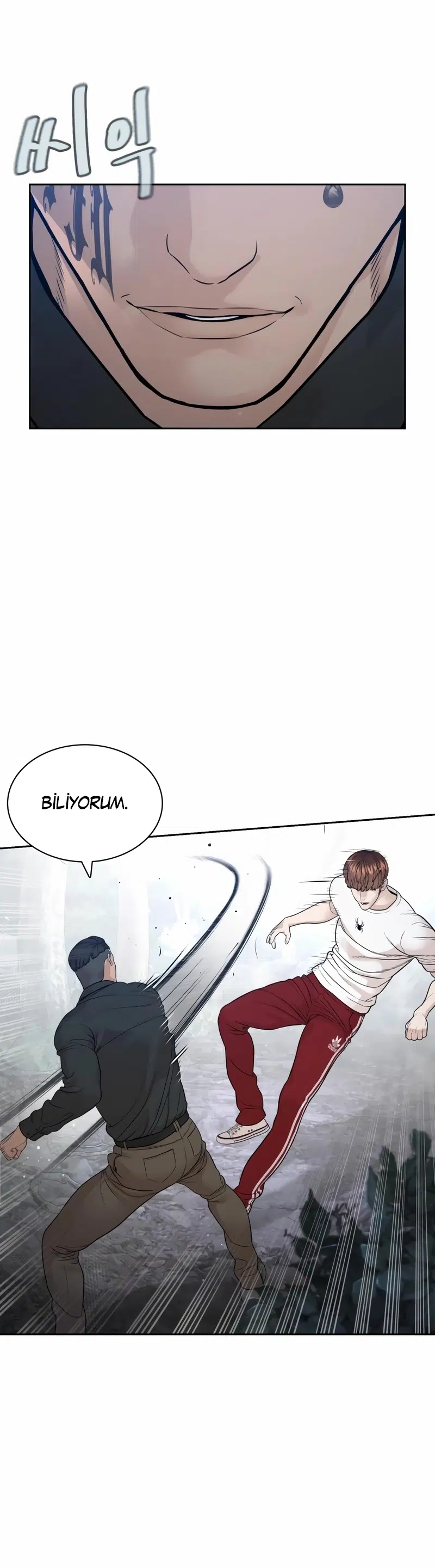 Nasıl Dövüşürsün? - Bölüm 191 Sayfa 47