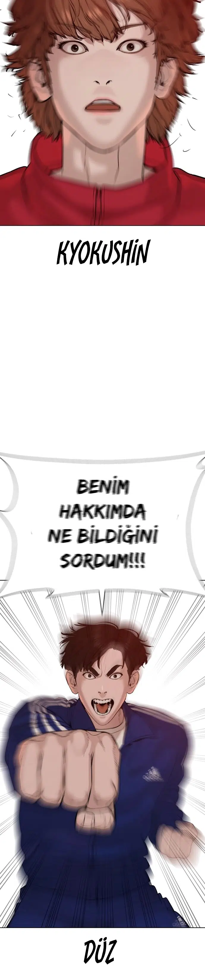 Nasıl Dövüşürsün? - Bölüm 53 Sayfa 17