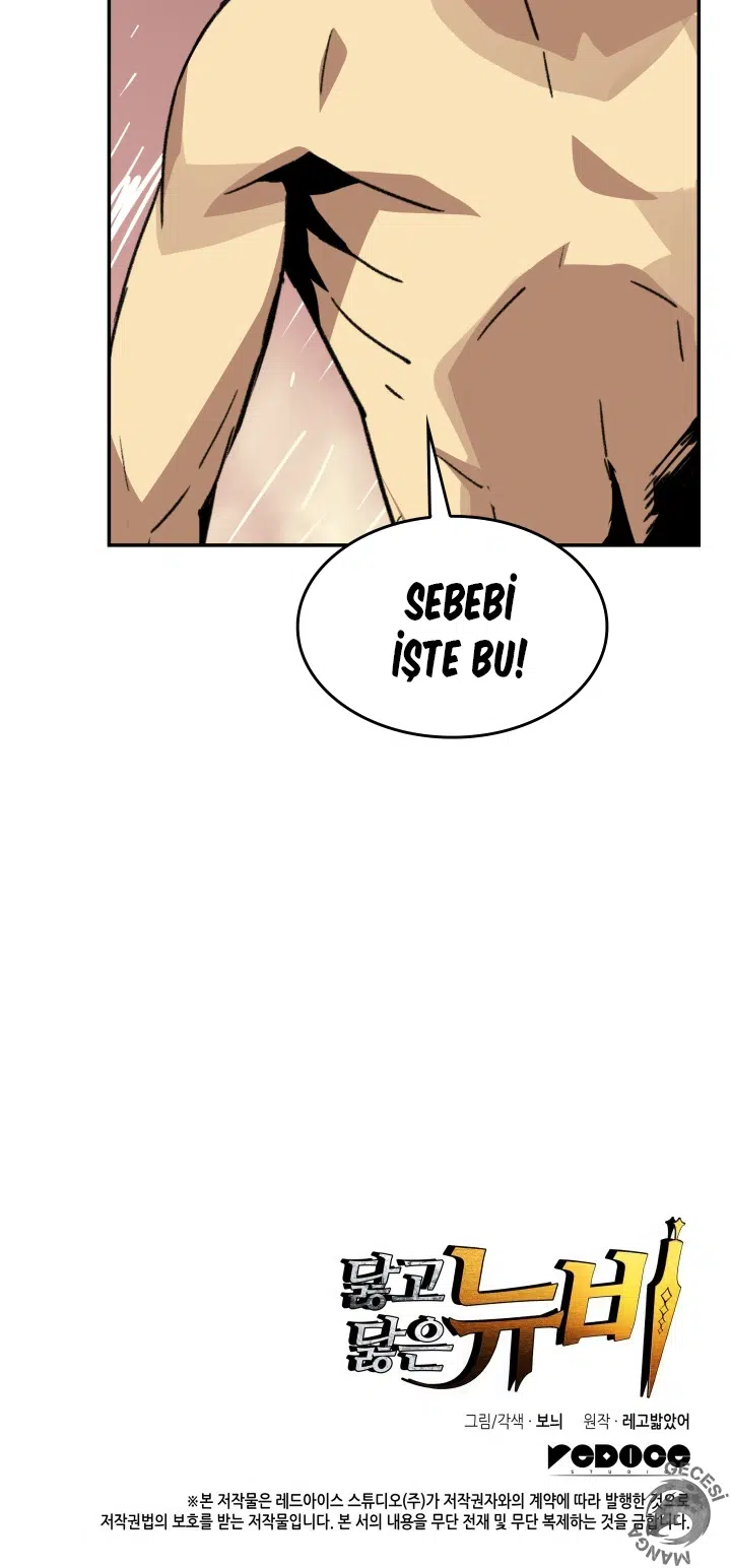 Görmüş Geçirmiş Çaylak - Bölüm 8 Sayfa 17