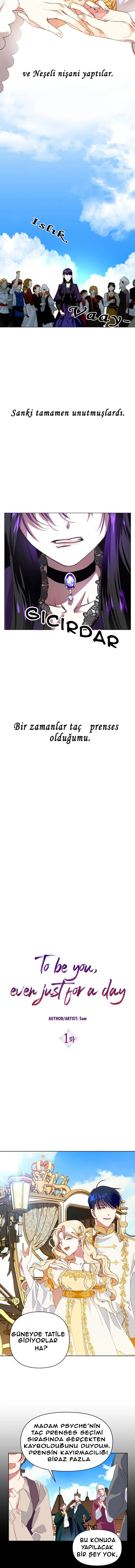 Bir Günlüğüne Sen Olmak İstiyorum - Bölüm 1 Sayfa 3