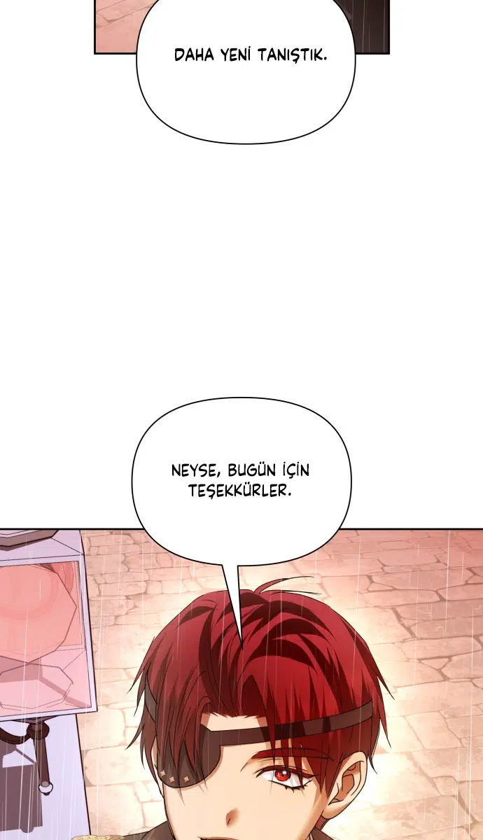 Bir Günlüğüne Sen Olmak İstiyorum - Bölüm 102 Sayfa 13