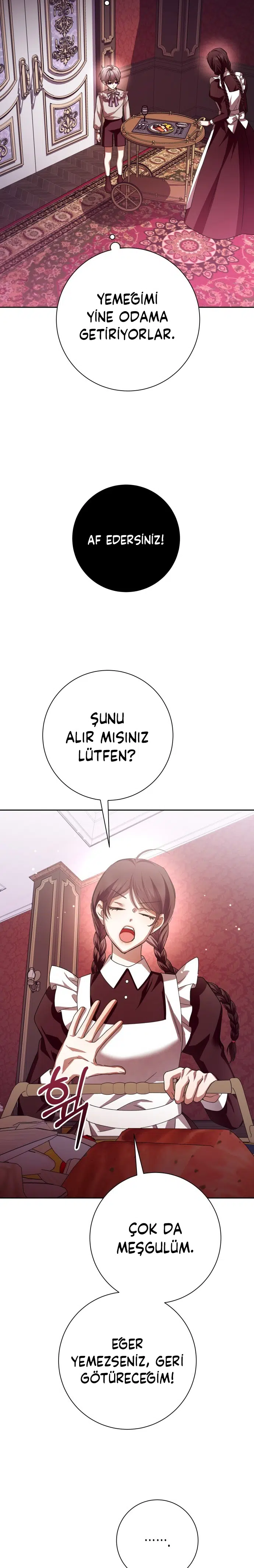 Bir Günlüğüne Sen Olmak İstiyorum - Bölüm 133 Sayfa 12