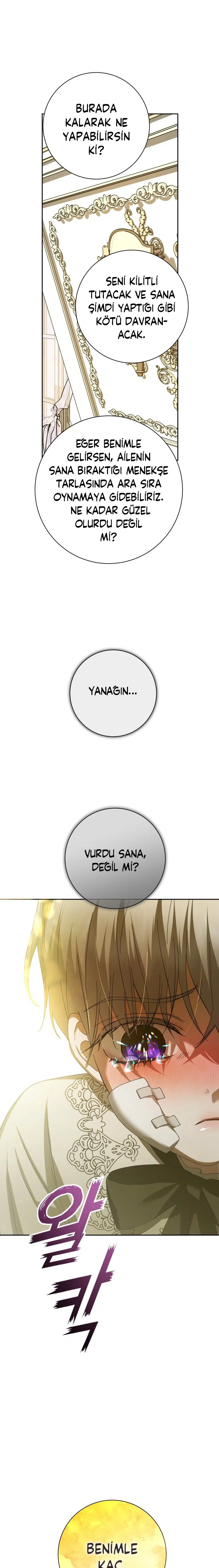 Bir Günlüğüne Sen Olmak İstiyorum - Bölüm 133 Sayfa 32