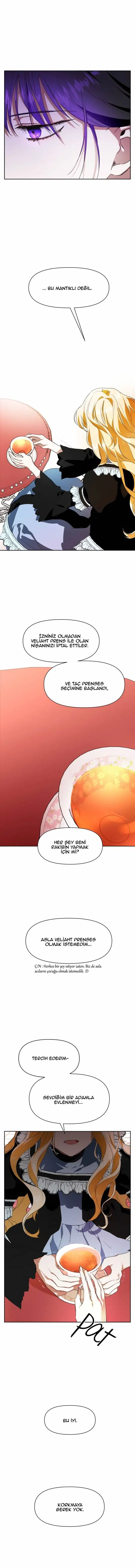 Bir Günlüğüne Sen Olmak İstiyorum - Bölüm 13 Sayfa 11