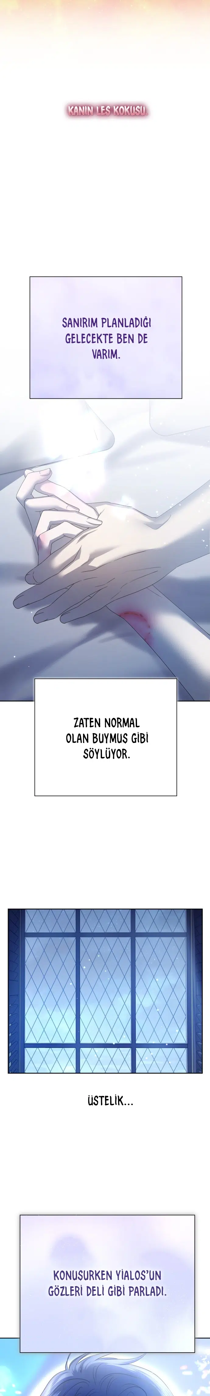 Bir Günlüğüne Sen Olmak İstiyorum - Bölüm 156 Sayfa 11