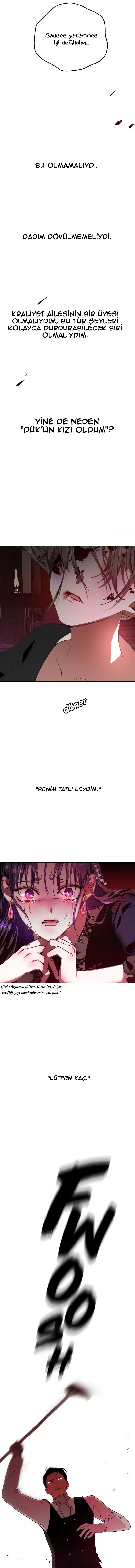 Bir Günlüğüne Sen Olmak İstiyorum - Bölüm 15 Sayfa 12