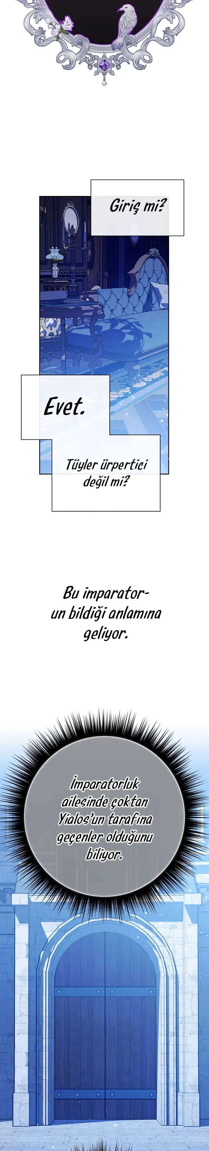 Bir Günlüğüne Sen Olmak İstiyorum - Bölüm 167 Sayfa 29