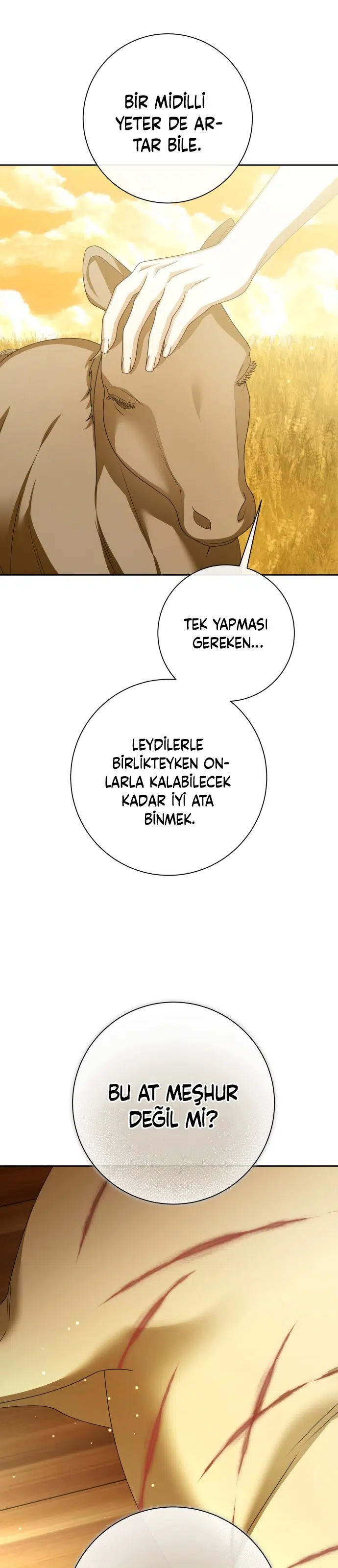 Bir Günlüğüne Sen Olmak İstiyorum - Bölüm 168 Sayfa 5