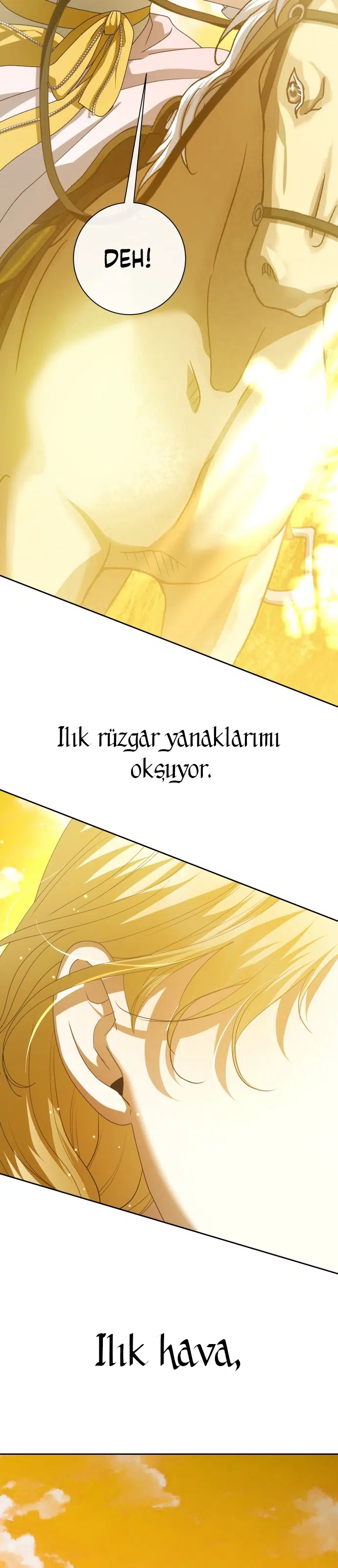 Bir Günlüğüne Sen Olmak İstiyorum - Bölüm 168 Sayfa 15