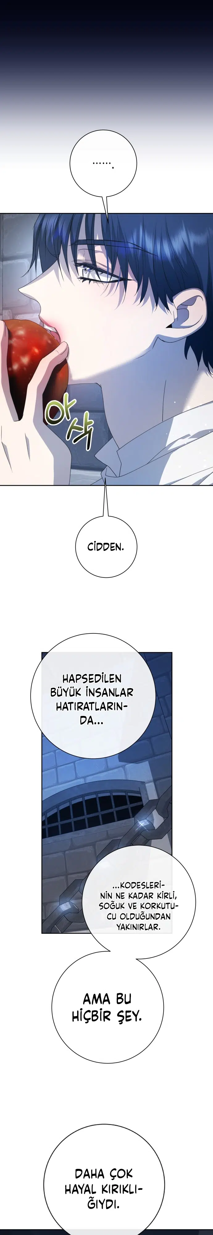 Bir Günlüğüne Sen Olmak İstiyorum - Bölüm 171 Sayfa 31