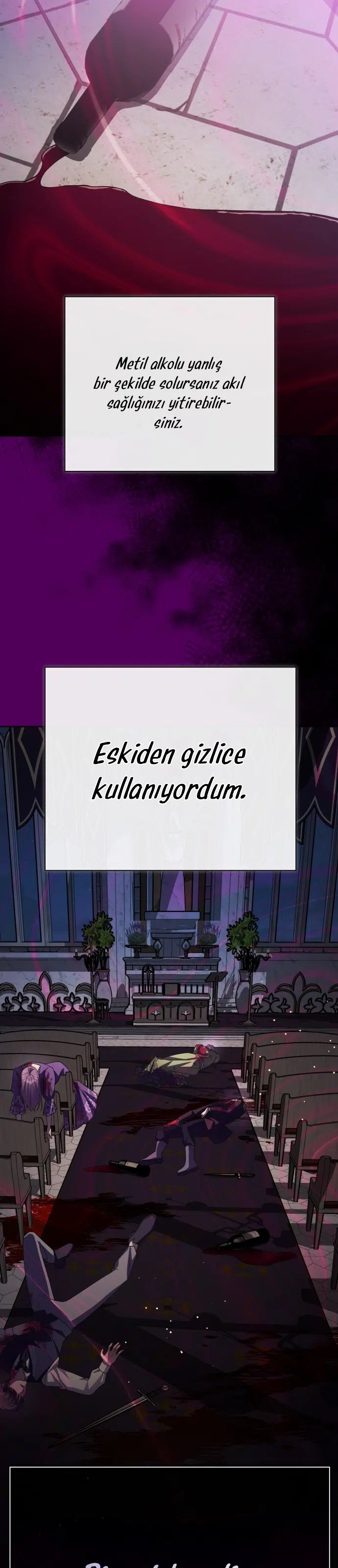 Bir Günlüğüne Sen Olmak İstiyorum - Bölüm 177 Sayfa 12
