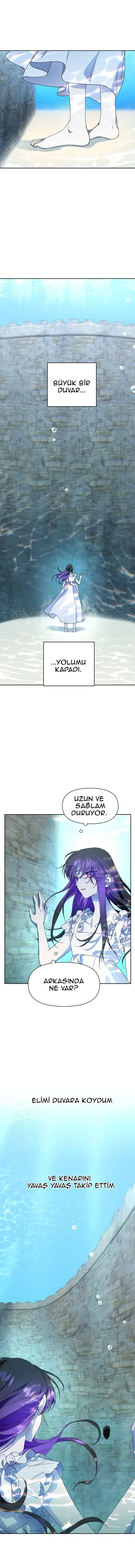 Bir Günlüğüne Sen Olmak İstiyorum - Bölüm 17 Sayfa 5