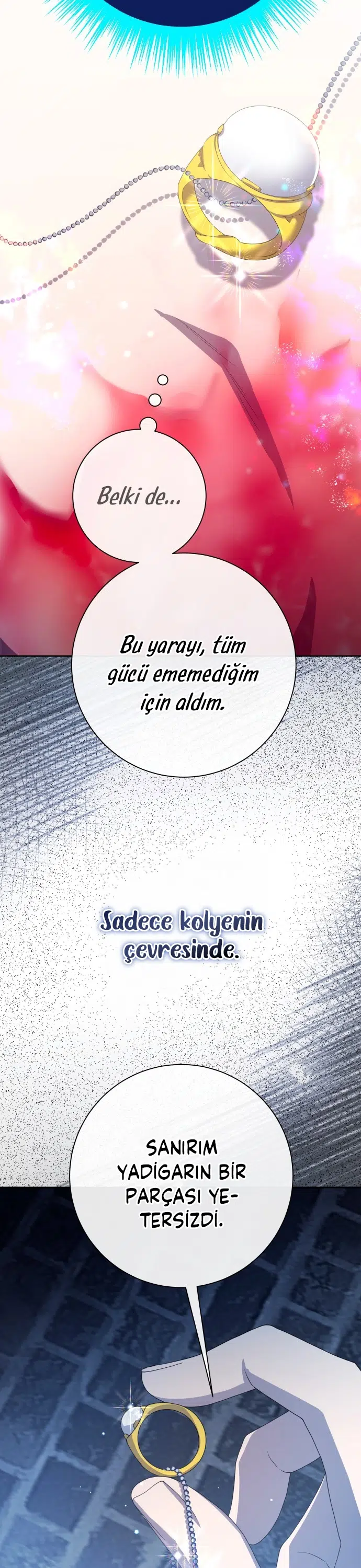 Bir Günlüğüne Sen Olmak İstiyorum - Bölüm 182 Sayfa 28