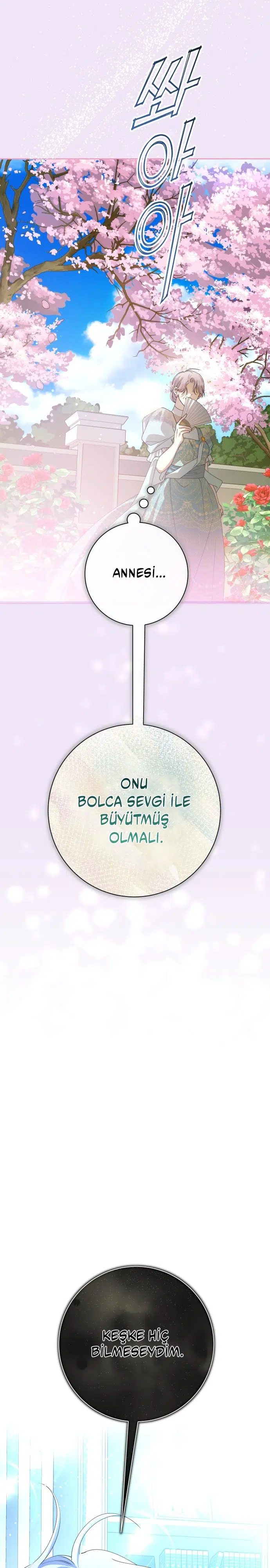Bir Günlüğüne Sen Olmak İstiyorum - Bölüm 184 Sayfa 28