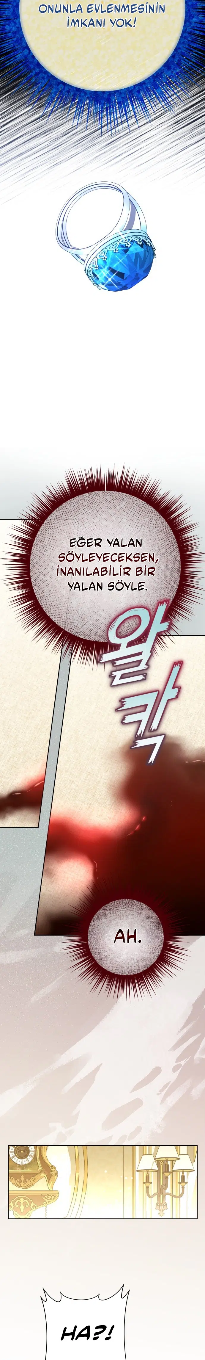 Bir Günlüğüne Sen Olmak İstiyorum - Bölüm 193 Sayfa 8