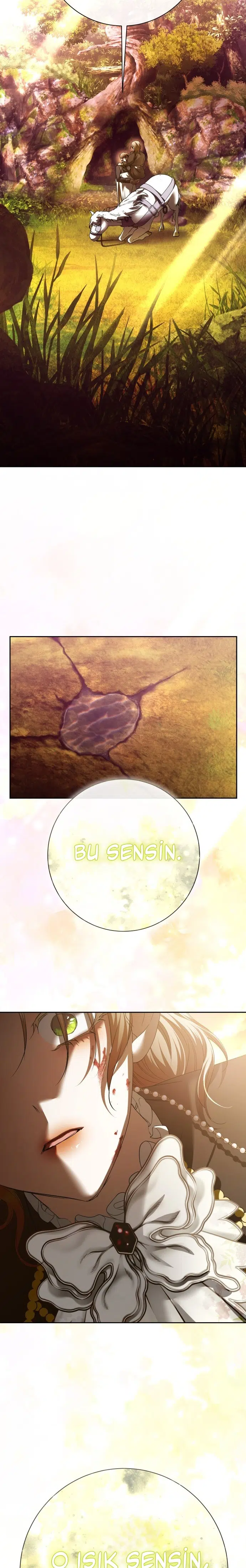 Bir Günlüğüne Sen Olmak İstiyorum - Bölüm 196 Sayfa 36