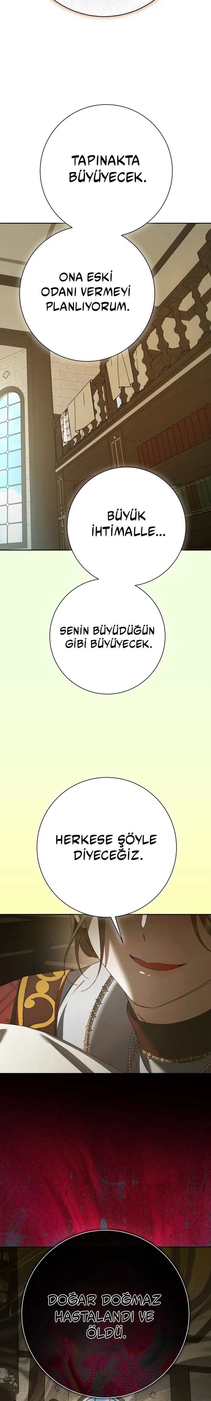 Bir Günlüğüne Sen Olmak İstiyorum - Bölüm 199 Sayfa 22