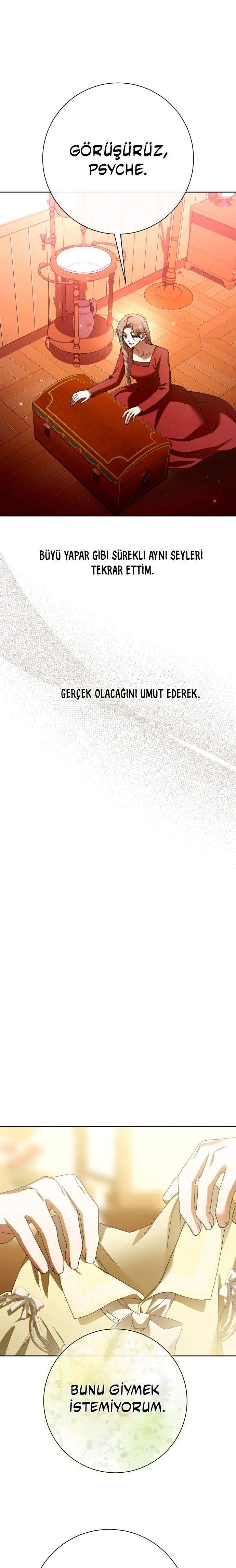 Bir Günlüğüne Sen Olmak İstiyorum - Bölüm 203 Sayfa 15