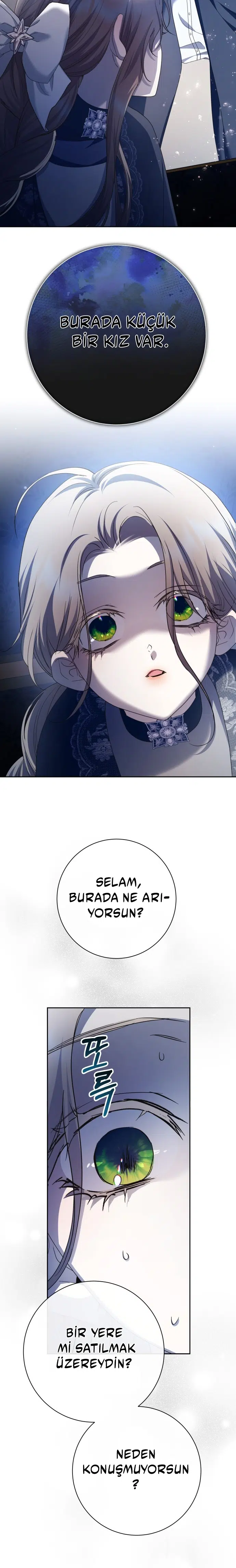 Bir Günlüğüne Sen Olmak İstiyorum - Bölüm 205 Sayfa 13