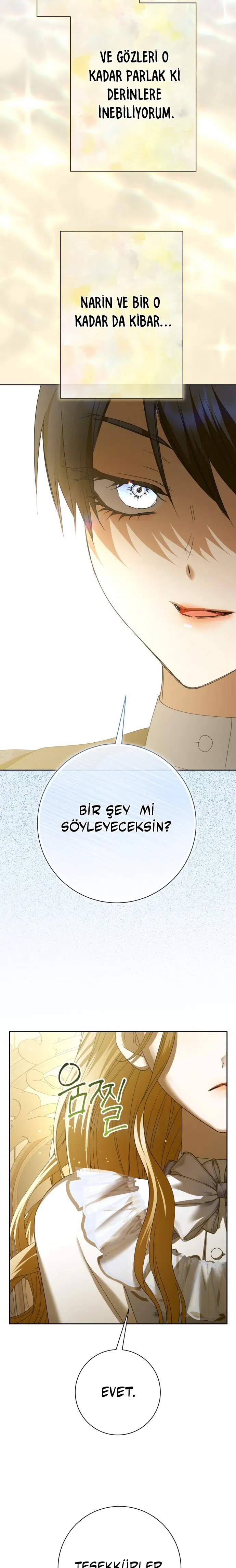 Bir Günlüğüne Sen Olmak İstiyorum - Bölüm 206 Sayfa 21