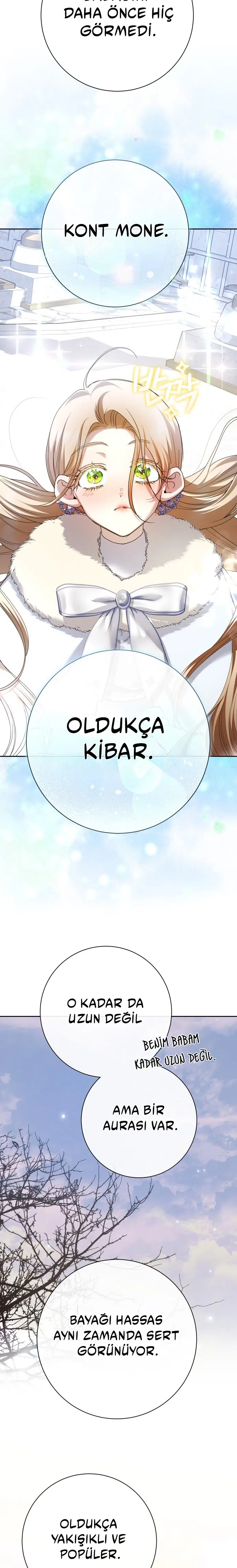 Bir Günlüğüne Sen Olmak İstiyorum - Bölüm 208 Sayfa 15