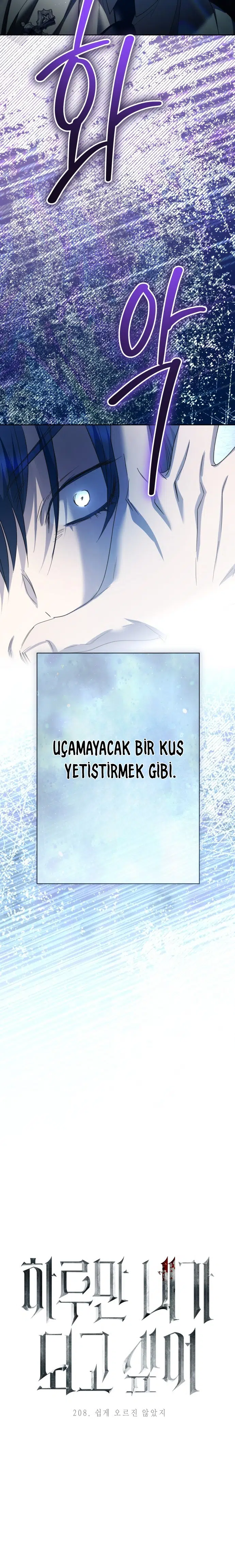 Bir Günlüğüne Sen Olmak İstiyorum - Bölüm 208 Sayfa 32