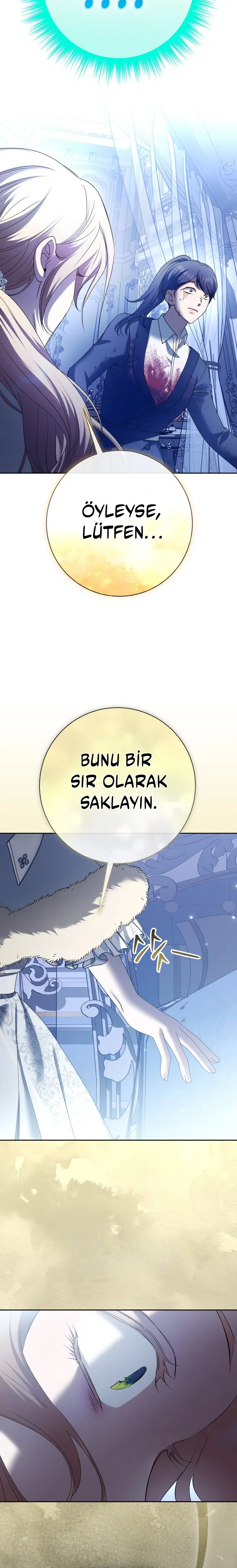 Bir Günlüğüne Sen Olmak İstiyorum - Bölüm 209 Sayfa 15
