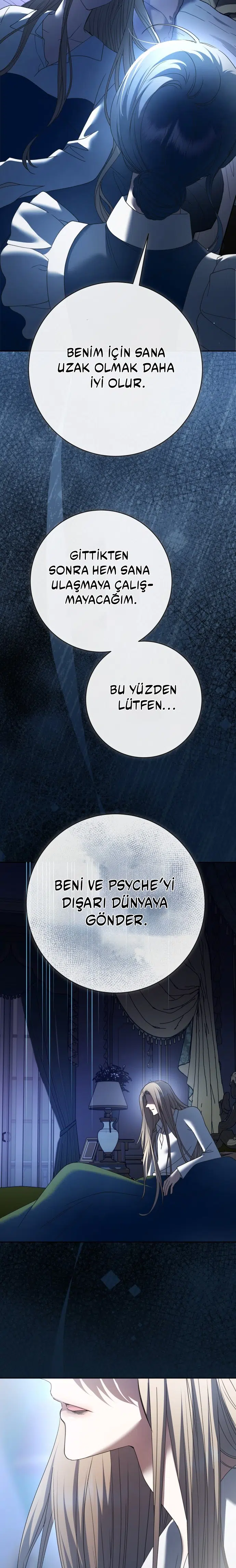 Bir Günlüğüne Sen Olmak İstiyorum - Bölüm 210 Sayfa 11