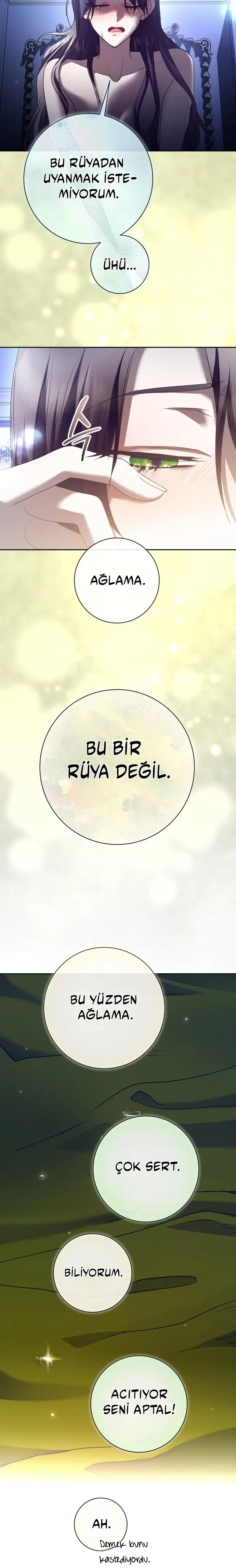 Bir Günlüğüne Sen Olmak İstiyorum - Bölüm 210 Sayfa 20