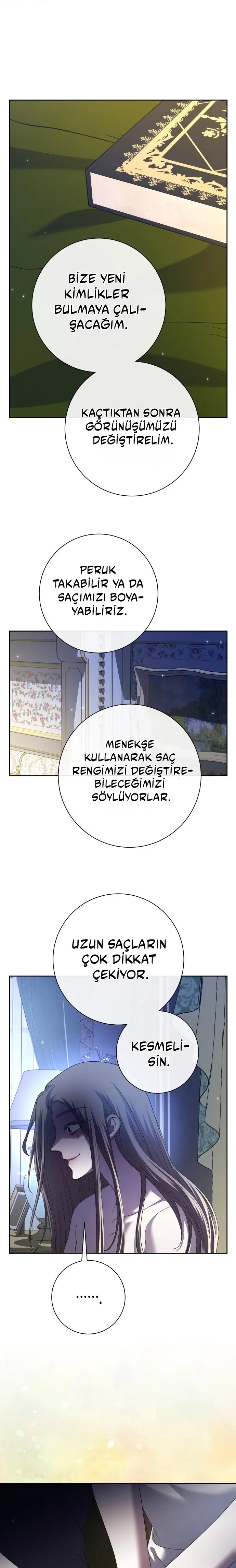 Bir Günlüğüne Sen Olmak İstiyorum - Bölüm 210 Sayfa 26