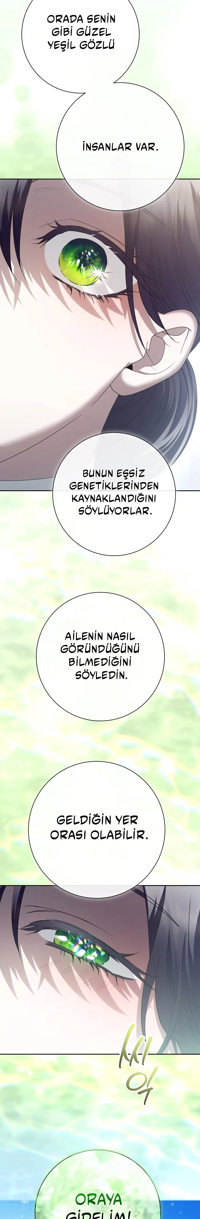 Bir Günlüğüne Sen Olmak İstiyorum - Bölüm 210 Sayfa 31