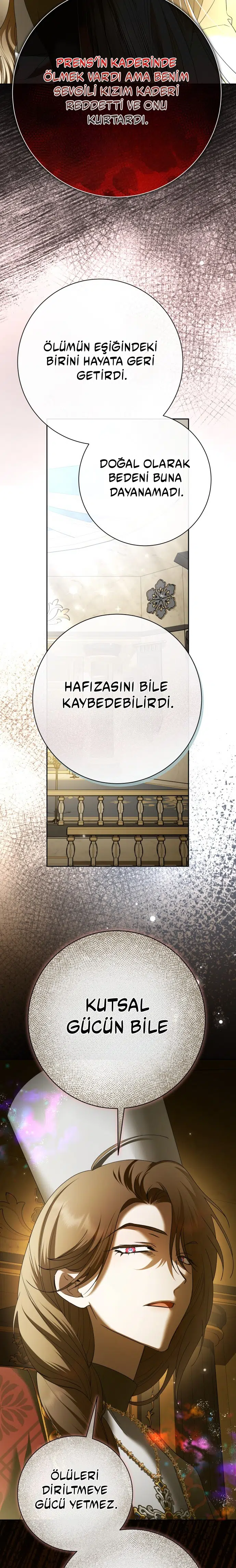 Bir Günlüğüne Sen Olmak İstiyorum - Bölüm 211 Sayfa 11