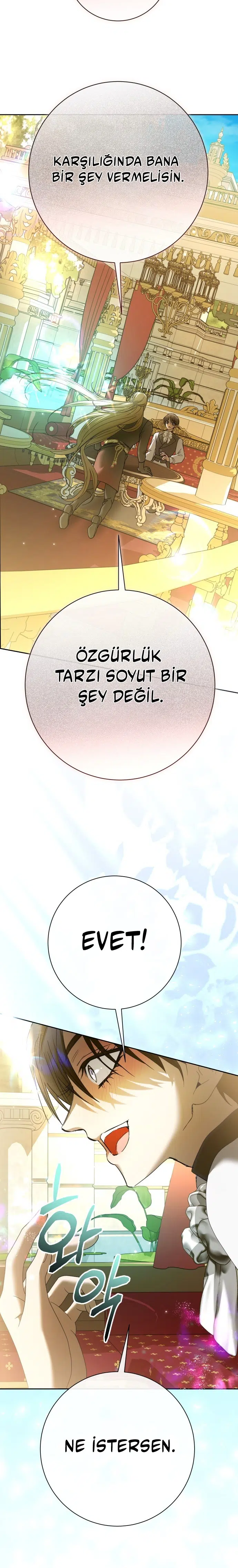 Bir Günlüğüne Sen Olmak İstiyorum - Bölüm 211 Sayfa 30