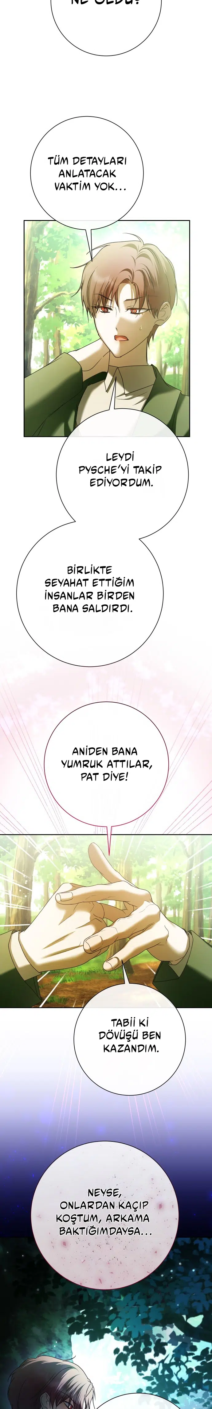 Bir Günlüğüne Sen Olmak İstiyorum - Bölüm 212 Sayfa 11
