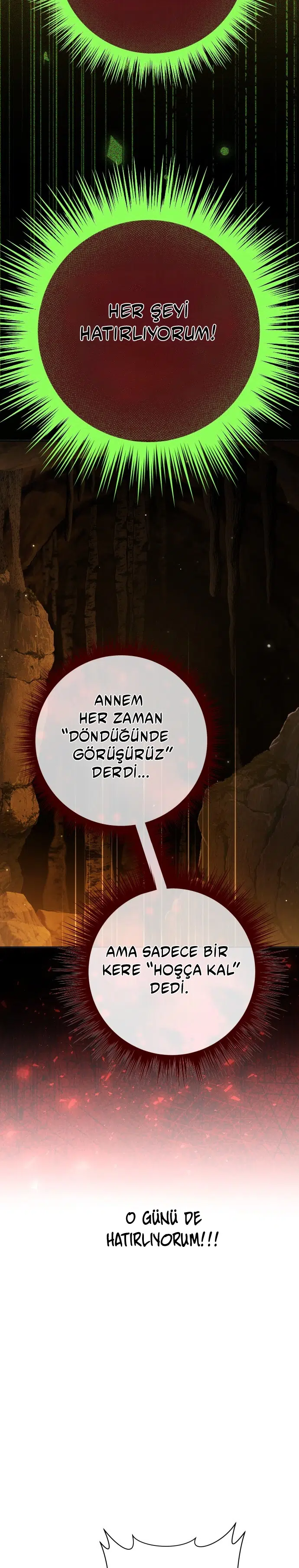 Bir Günlüğüne Sen Olmak İstiyorum - Bölüm 212 Sayfa 38