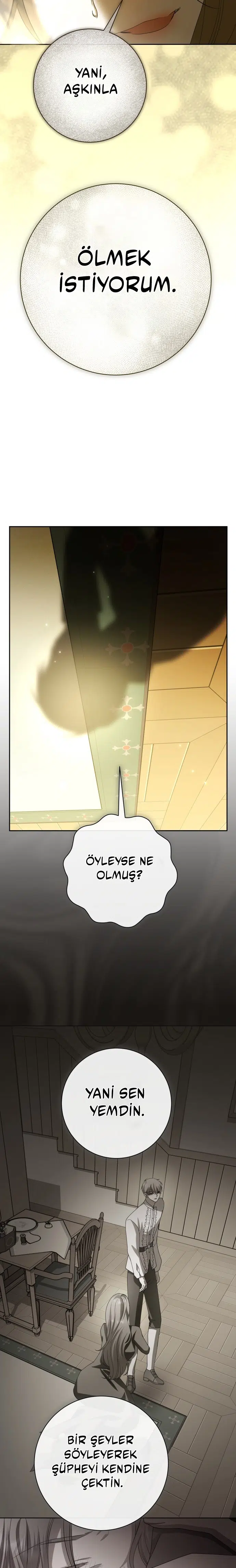 Bir Günlüğüne Sen Olmak İstiyorum - Bölüm 213 Sayfa 28