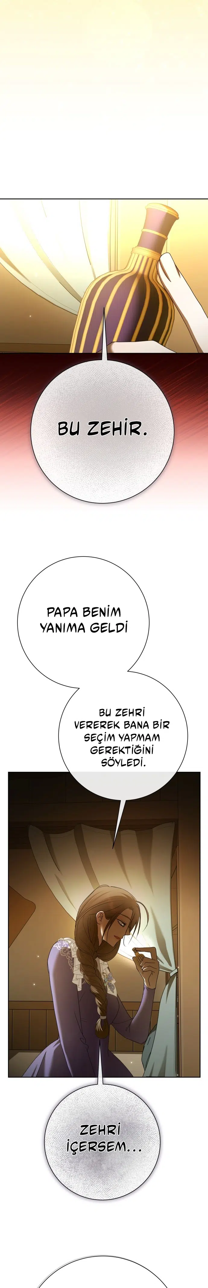 Bir Günlüğüne Sen Olmak İstiyorum - Bölüm 213 Sayfa 31