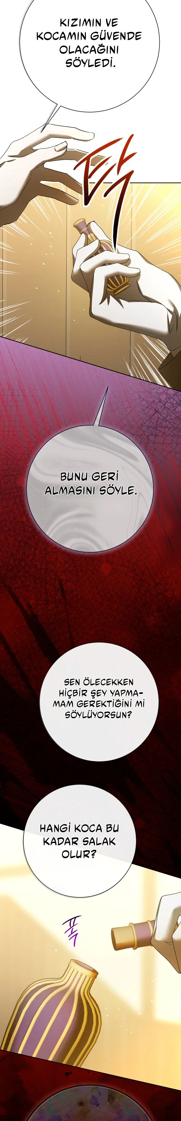 Bir Günlüğüne Sen Olmak İstiyorum - Bölüm 213 Sayfa 32