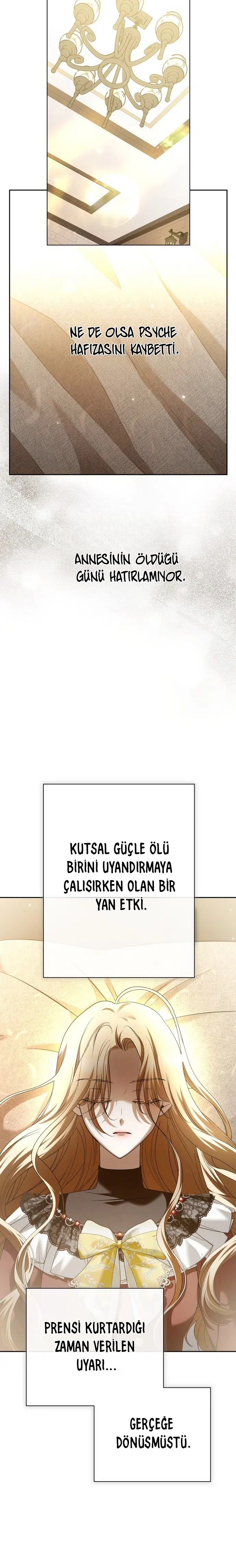 Bir Günlüğüne Sen Olmak İstiyorum - Bölüm 214 Sayfa 17