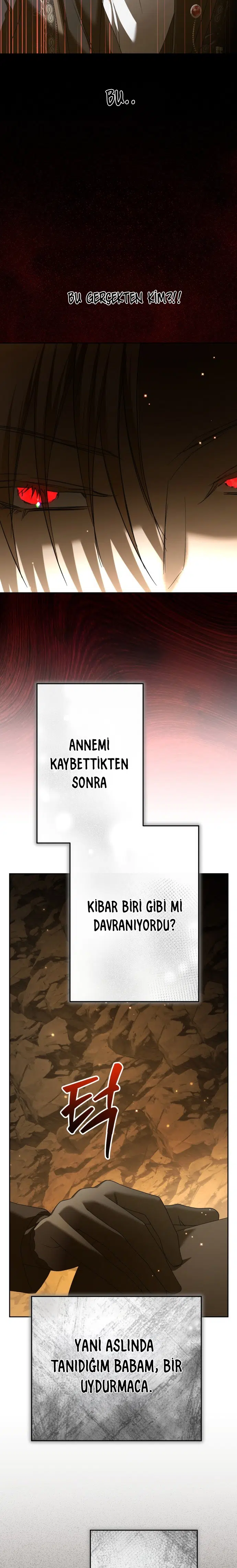 Bir Günlüğüne Sen Olmak İstiyorum - Bölüm 216 Sayfa 5
