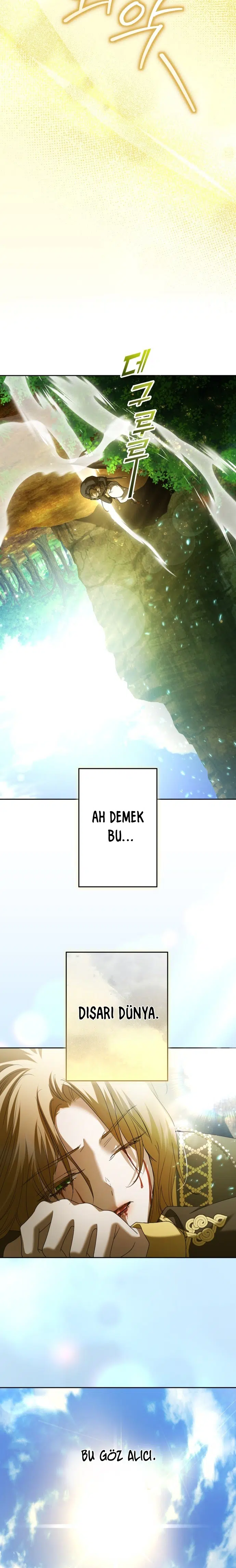 Bir Günlüğüne Sen Olmak İstiyorum - Bölüm 217 Sayfa 20
