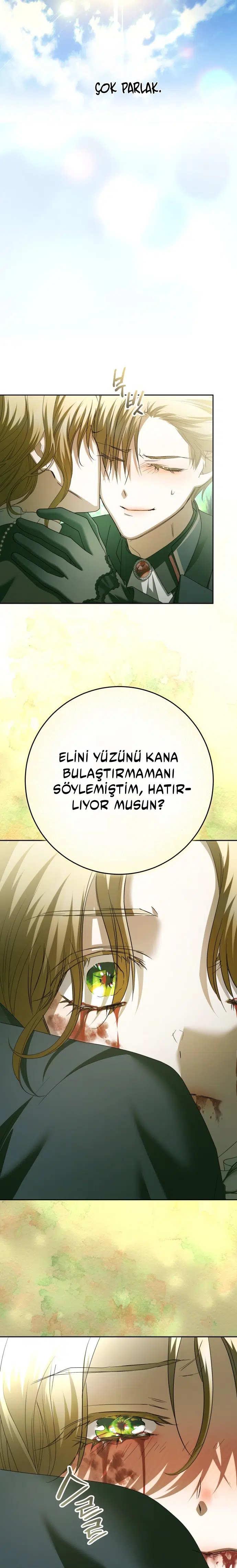 Bir Günlüğüne Sen Olmak İstiyorum - Bölüm 217 Sayfa 21