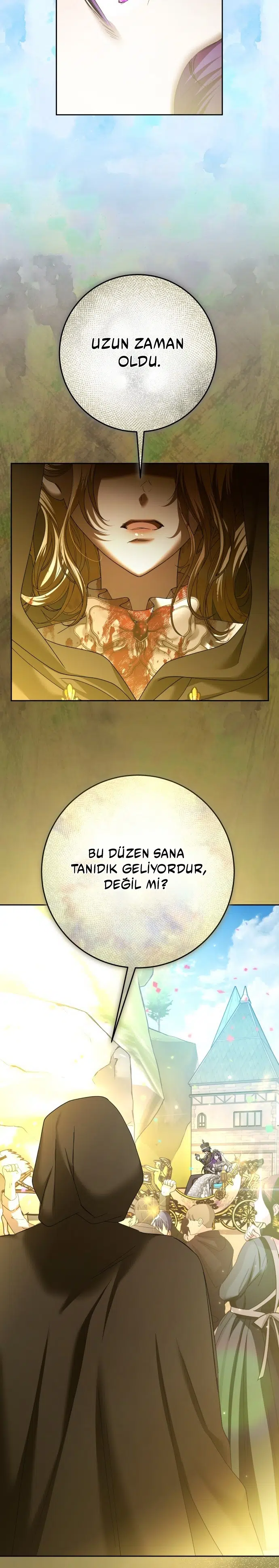 Bir Günlüğüne Sen Olmak İstiyorum - Bölüm 221 Sayfa 25