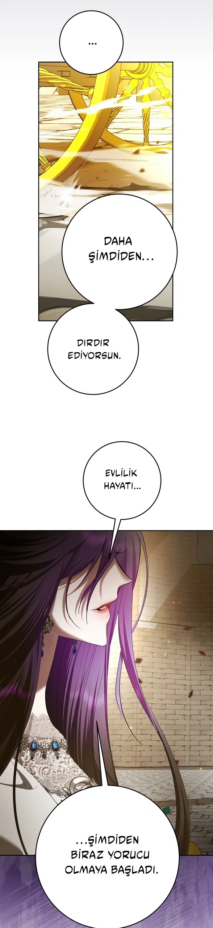 Bir Günlüğüne Sen Olmak İstiyorum - Bölüm 222 Sayfa 14