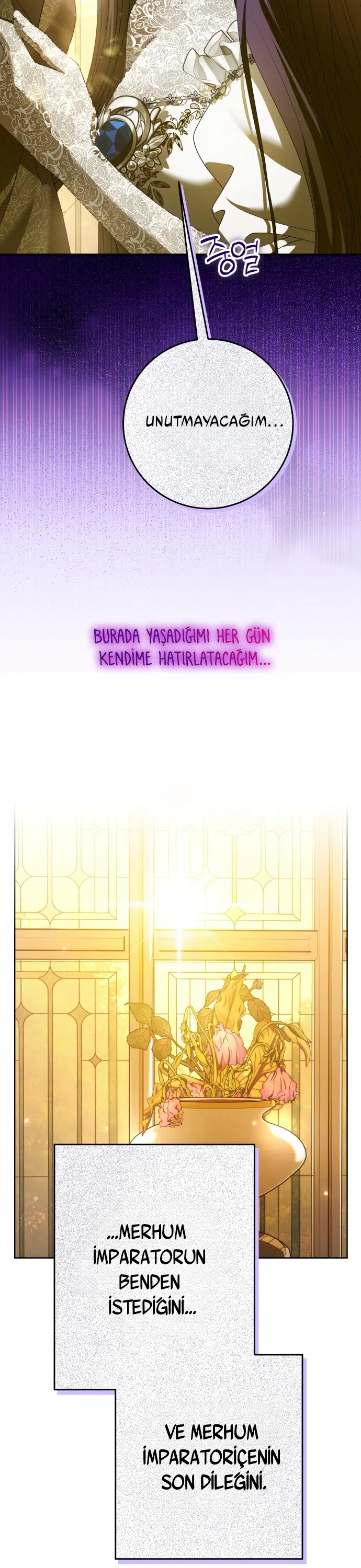 Bir Günlüğüne Sen Olmak İstiyorum - Bölüm 222 Sayfa 33