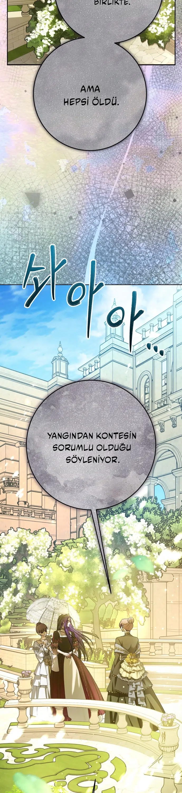 Bir Günlüğüne Sen Olmak İstiyorum - Bölüm 223 Sayfa 13