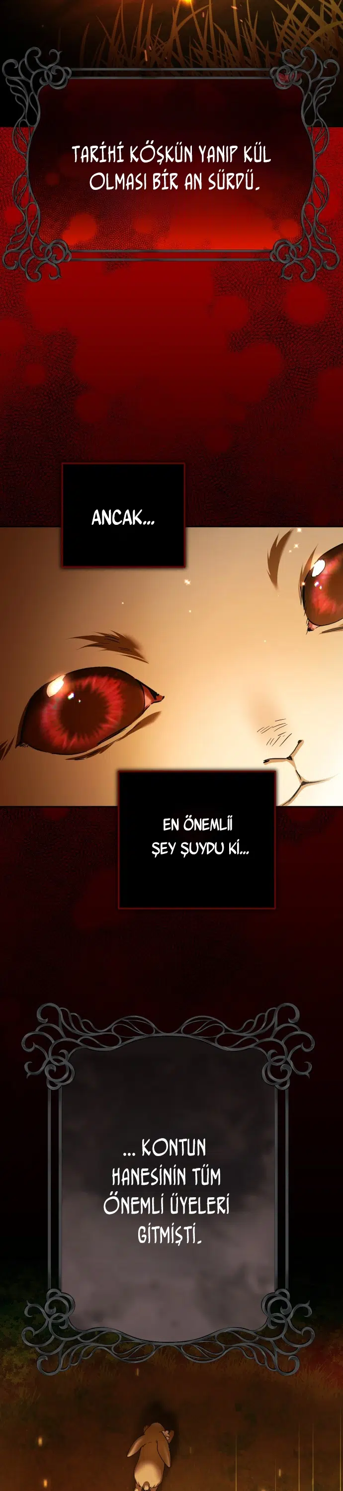 Bir Günlüğüne Sen Olmak İstiyorum - Bölüm 223 Sayfa 24
