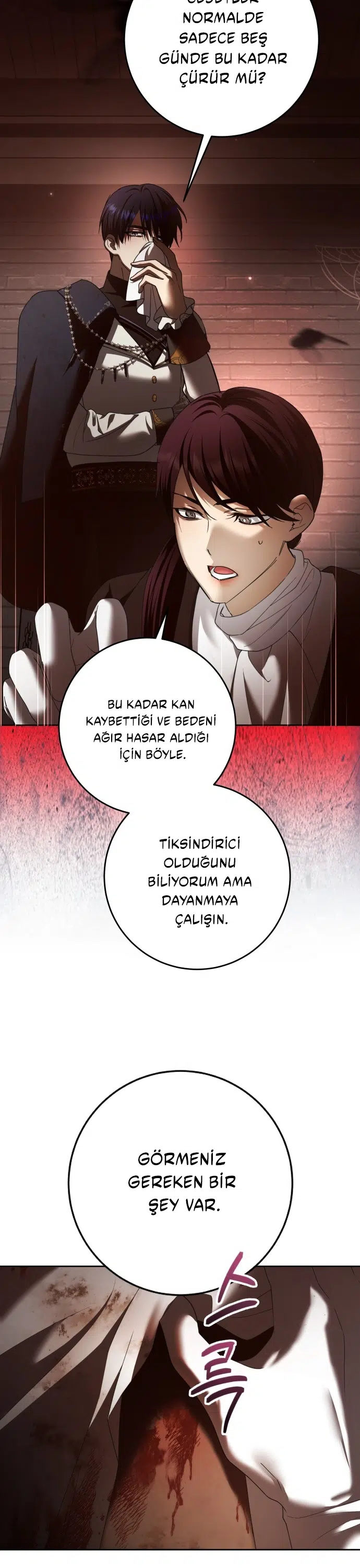 Bir Günlüğüne Sen Olmak İstiyorum - Bölüm 224 Sayfa 21